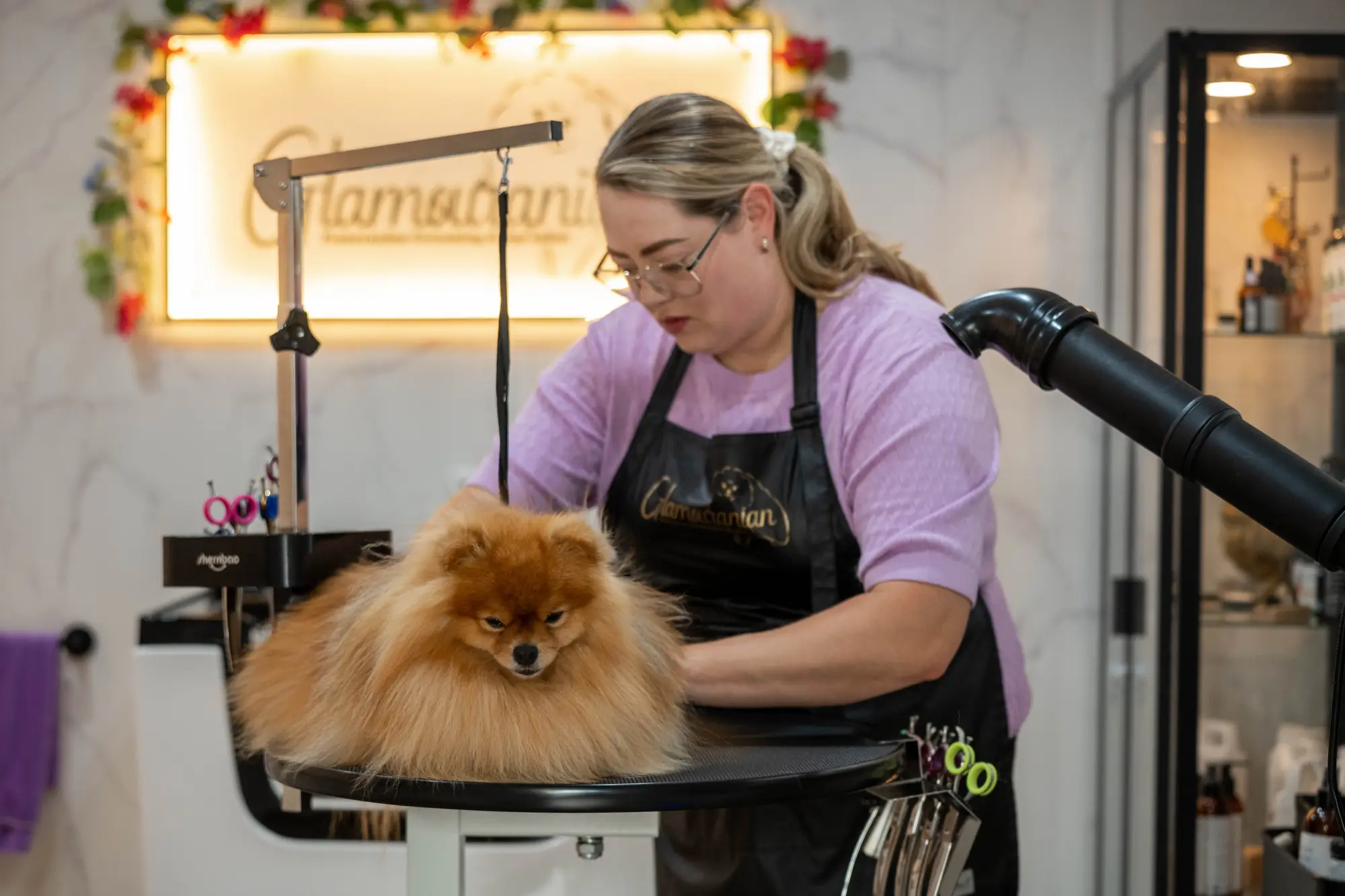 De salon van Glamouranian Trimsalon in Gastel